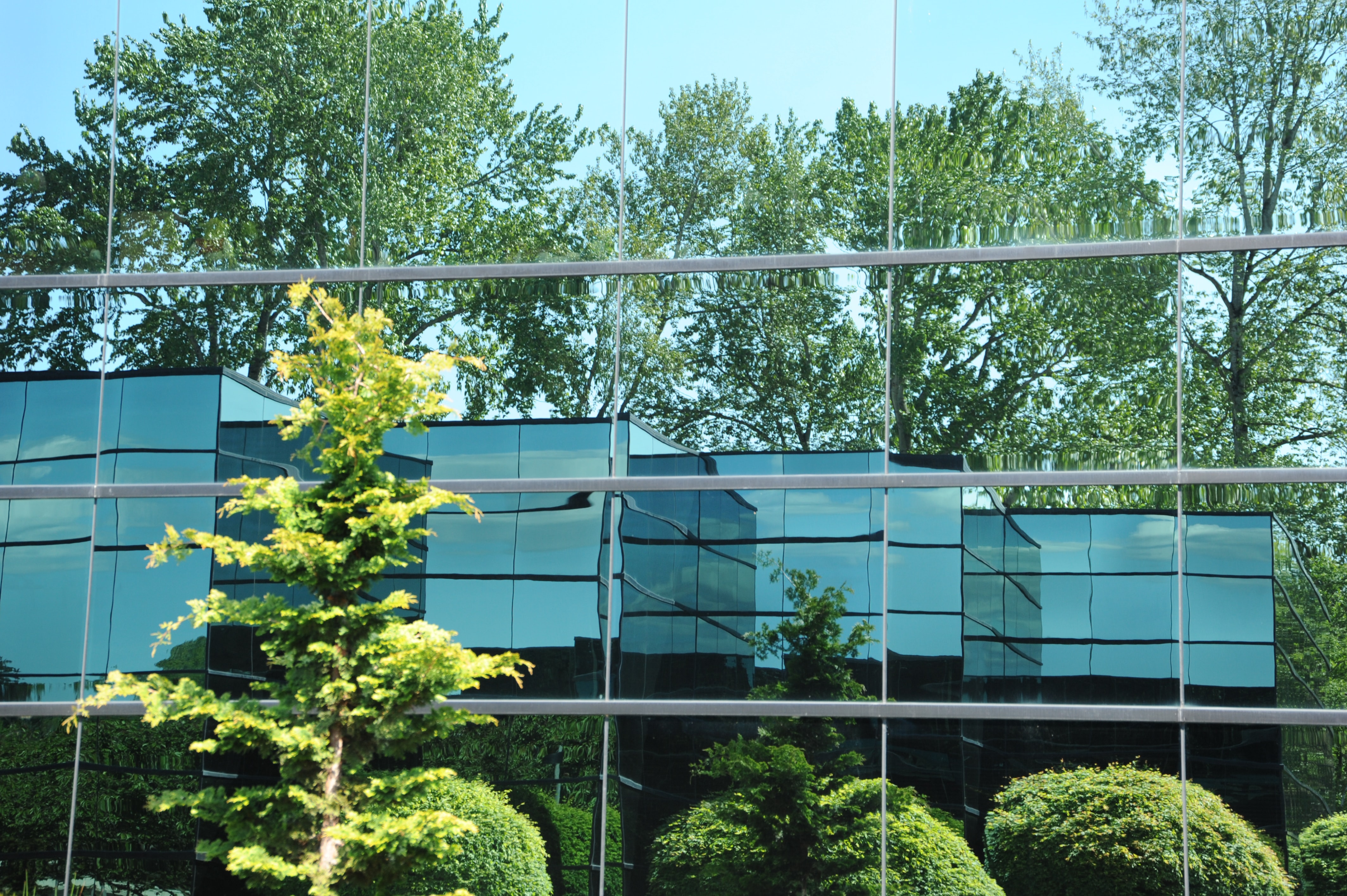 Immeuble de bureaux en verre reflétant un jardin et des arbres. SCPI labelisées ISR.
